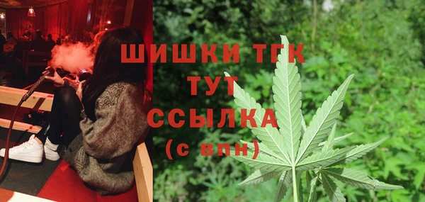 тгк Беломорск