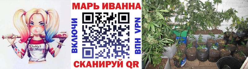 Бошки марихуана гибрид Купить где Мураши